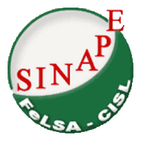 Logo SIANAPE